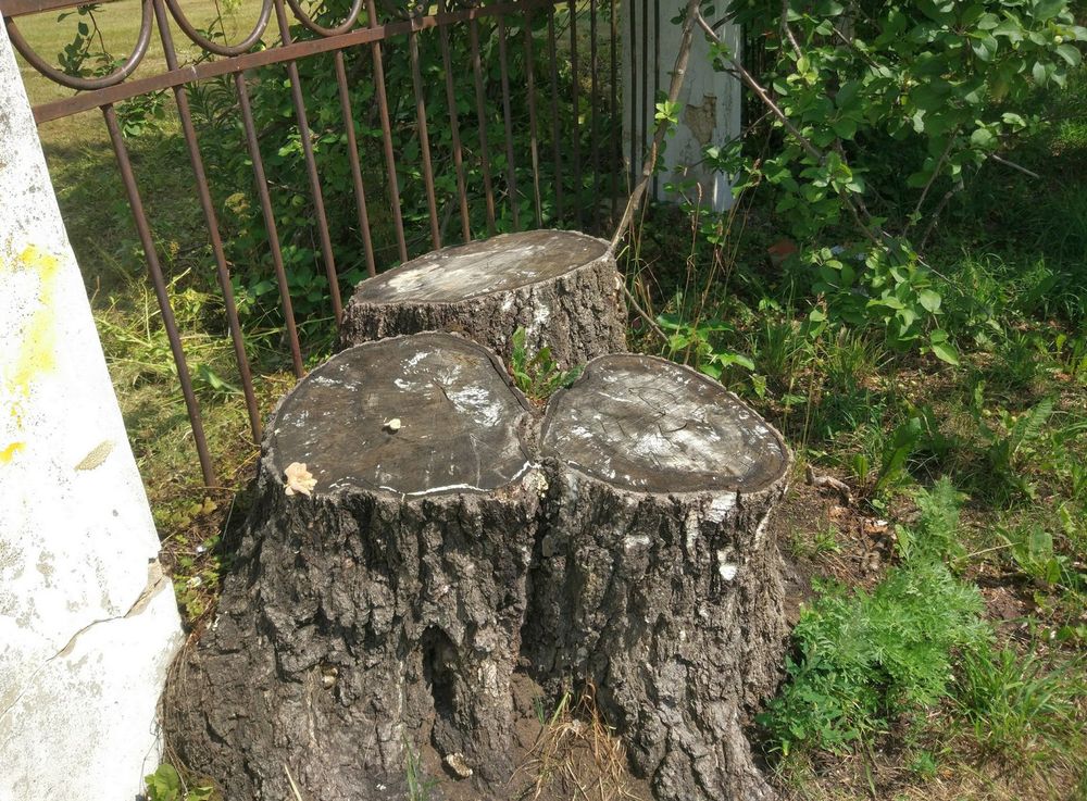 ���������� ����� ��������� ���� ��������� �� �������� ������ ��������