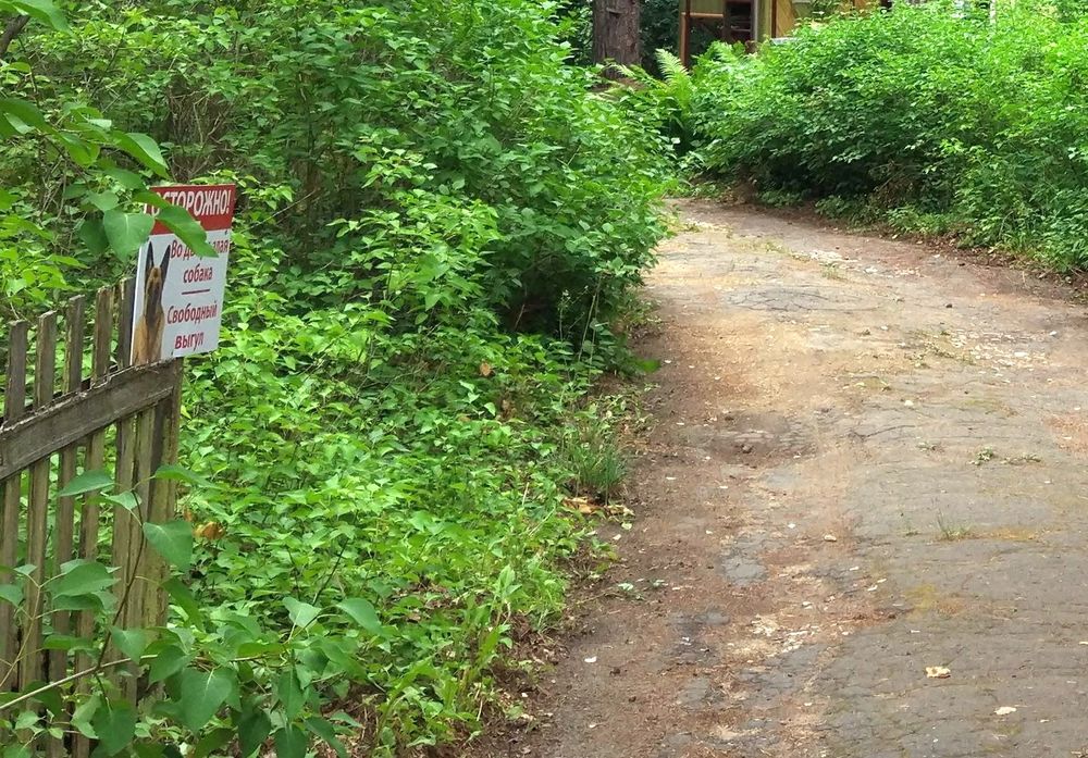 � ������ ����� ������ ��� ������� ����������� ��������� ����������