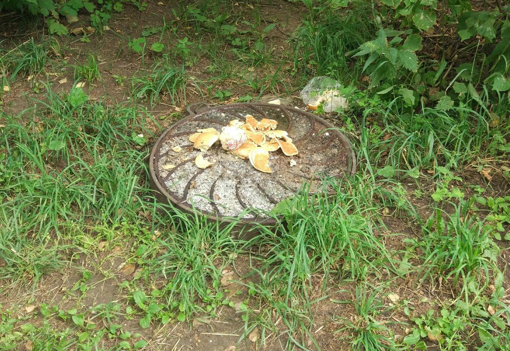 ��� ��������� ��������� �� ���� �������� � ��� �� ���������