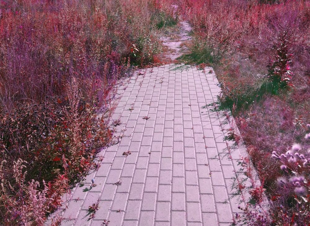 ��� ���� �� ���� ������� ������� ������ �� "���������" � �������