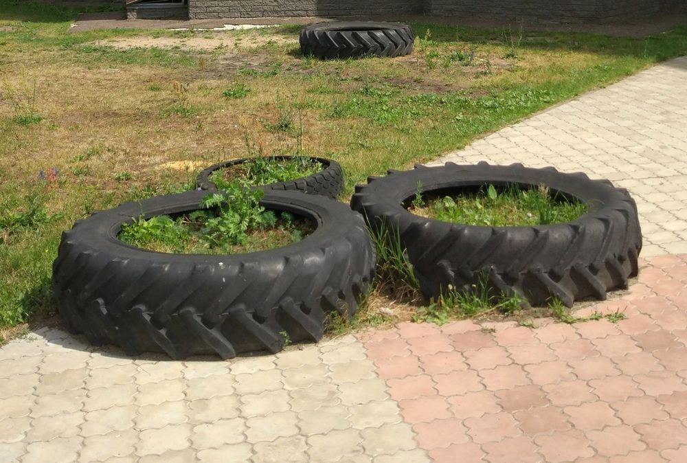 ���� - ���������� ����������� ������ ��������� ������ ����� � "������"