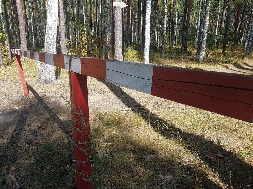 Предупредить и потушить Муниципальный Лесопарк напомнил об угрозе пожаров