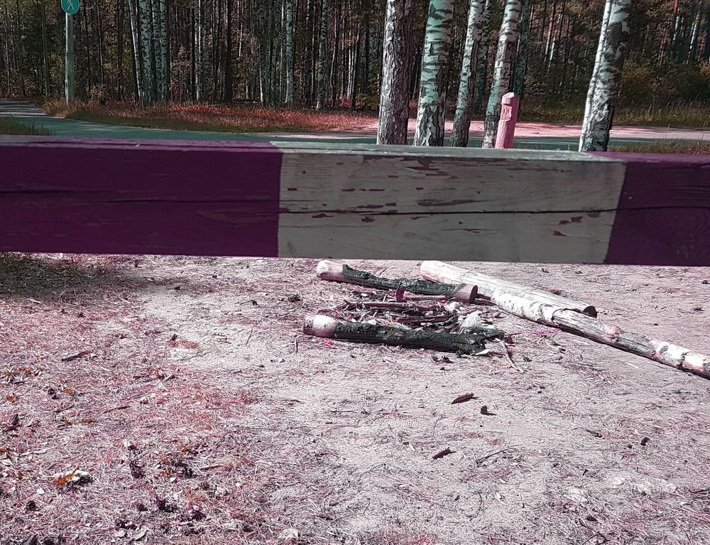 ��� �� �������� �� ��� ������ ��������������� ������ ����� ���������������